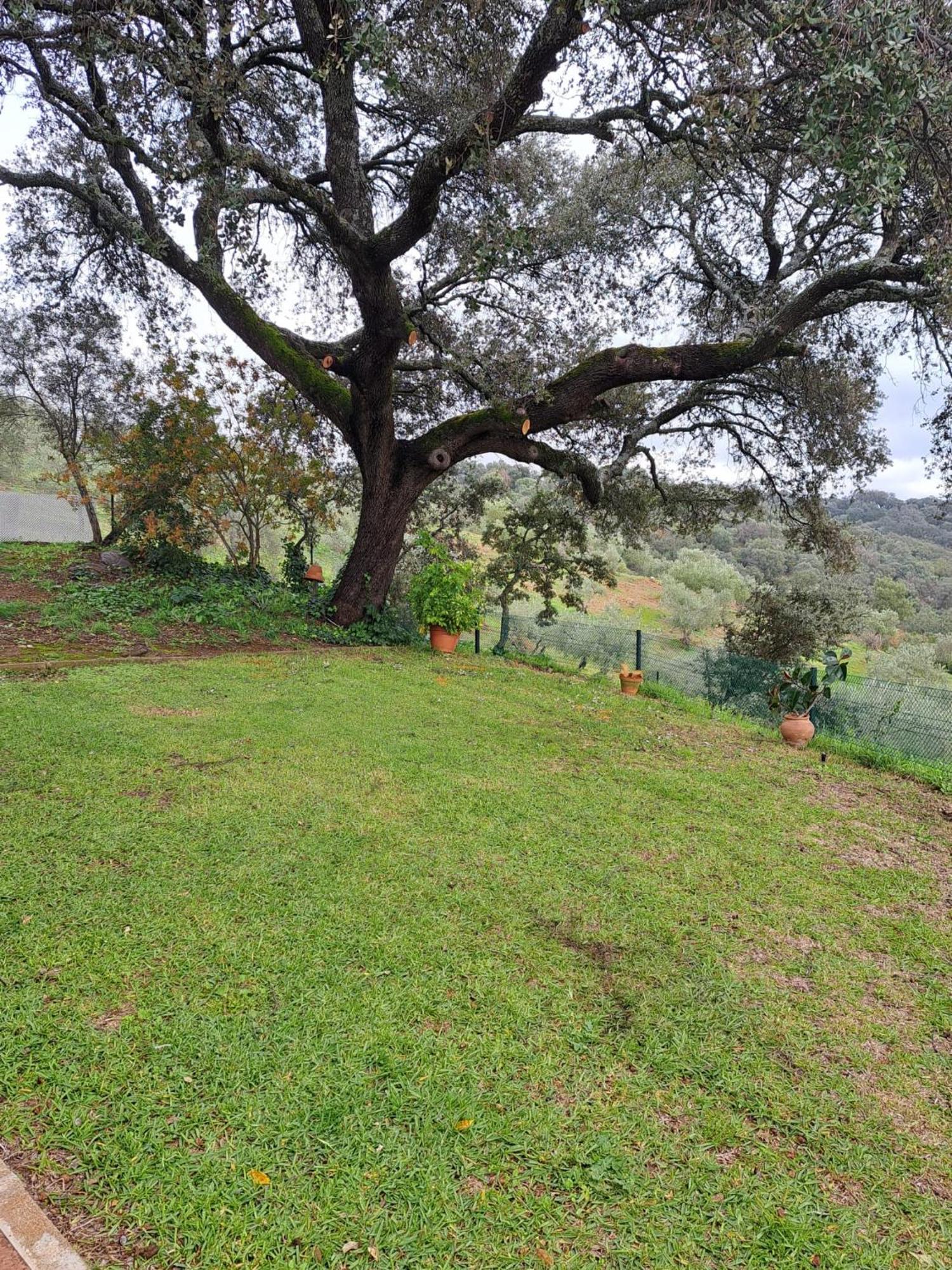 Casa Rural Villa Manuela Cazalla de la Sierra Luaran gambar